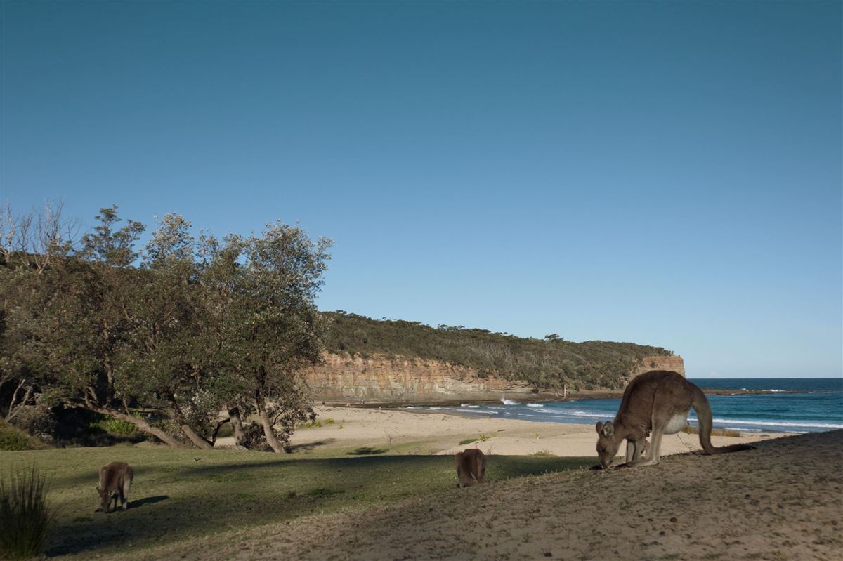 Rundreisen de Australien Murramarang National Park
